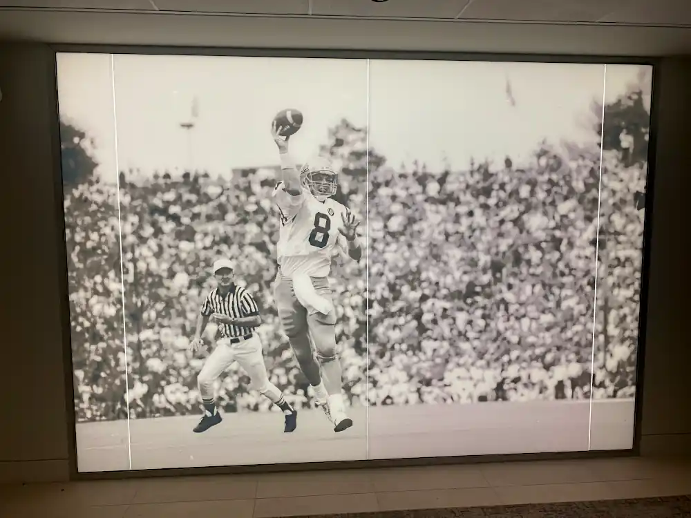 Click to View Cotton Bowl Detail View 7